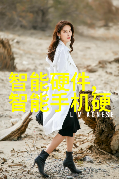蒸汽动力时代的新篇章全自动蒸汽发生器的革命性应用