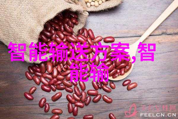 空压机油水分离过滤器-高效隔离液体杂质保障压缩空气质量