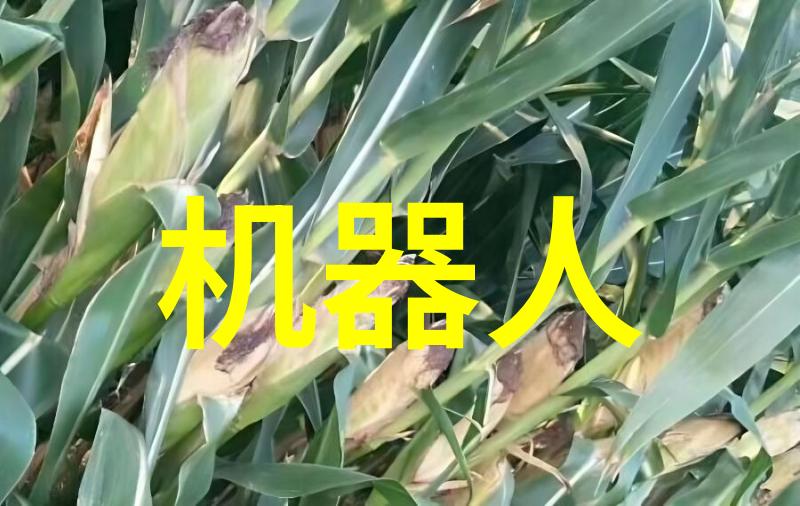 冰点智慧冷凝机组的精髓解析