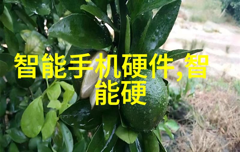 粉末之梦冰冷的凝华