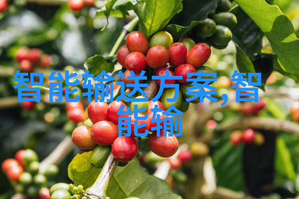 意大利心灵的港湾与艺术的花园