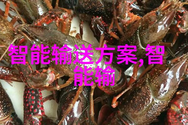 机器的哀鸣破碎机的秘密篇章