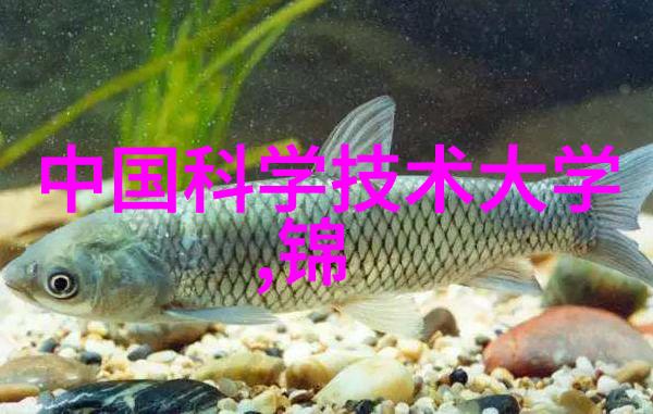 银色回响一枚硬币的百度云之旅