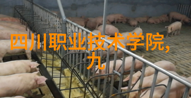 灭菌之道净化每一份成品的守护者