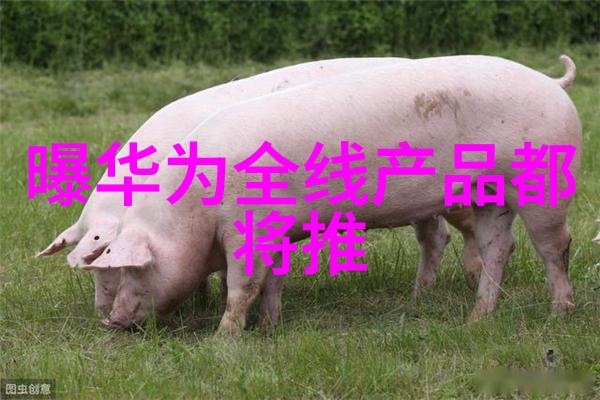 不锈钢材质型号大全一种系统性研究