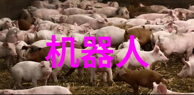 T型弯头