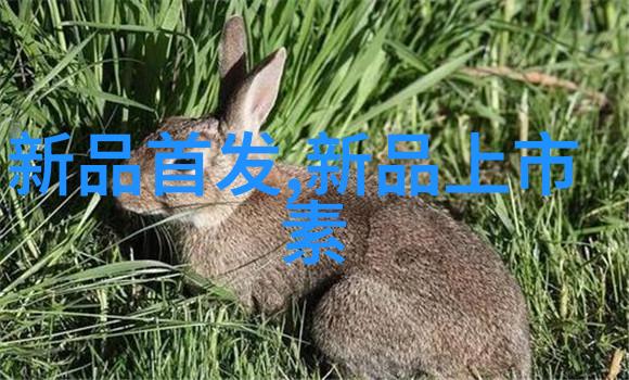 金屋梦回探索出金屋记中的家族传奇与现代启示