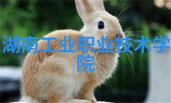 工业级滚筒干燥设备在食品加工中的应用与优势探究