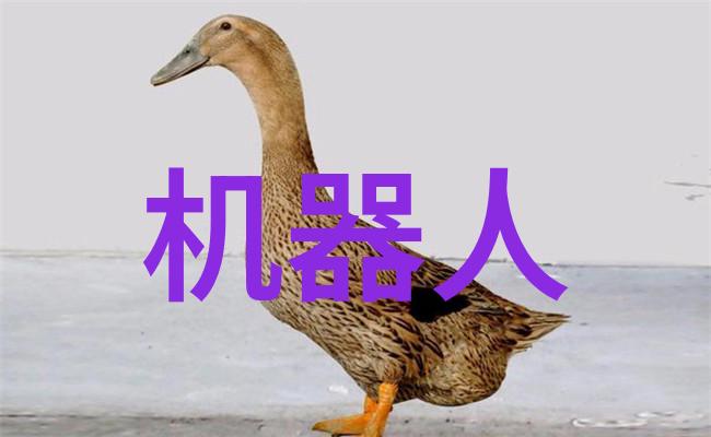 蒸汽发生器之谜从工业巨轮到时间机器的秘密驱动