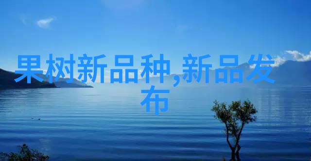 万隆股票代码我的投资小秘密