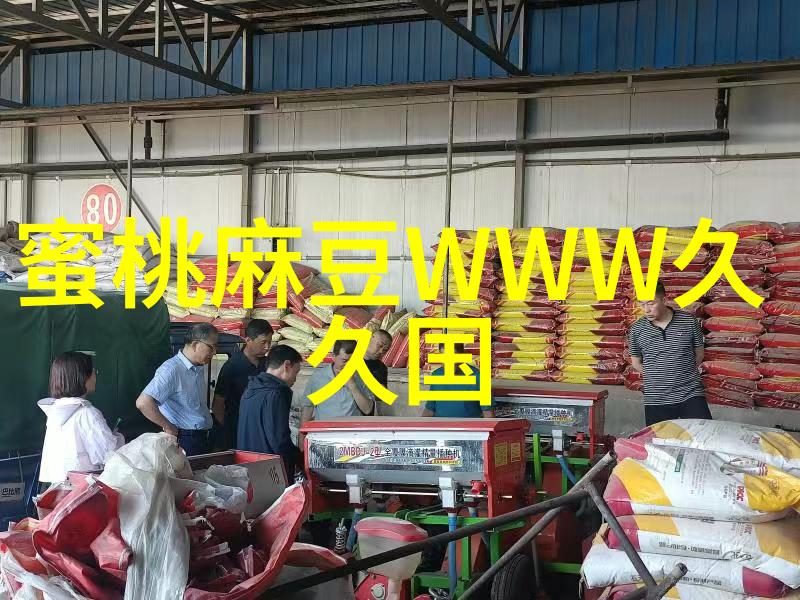 布袋除尘之谜背后的科学秘密是什么