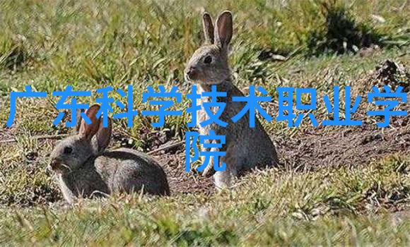 化学反应釜系统共线设备高效安全的化学实验操作解决方案
