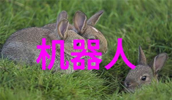 化工包装检测设备确保安全与效率的关键技术