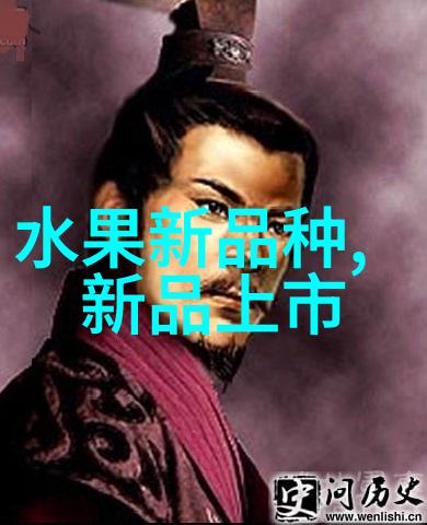 旋流曝气器-提升水处理效率的高效解决方案