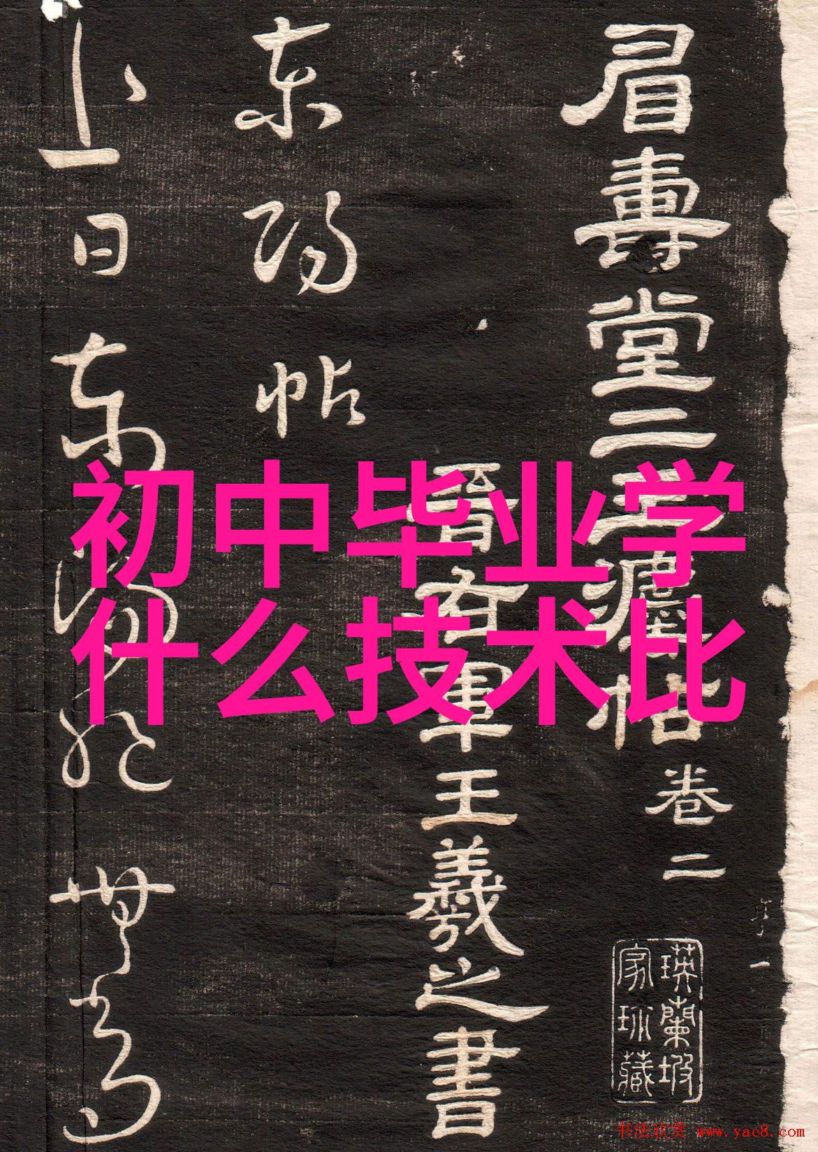 社会数字媒体技术专业学者黄光裕在竞争中败北