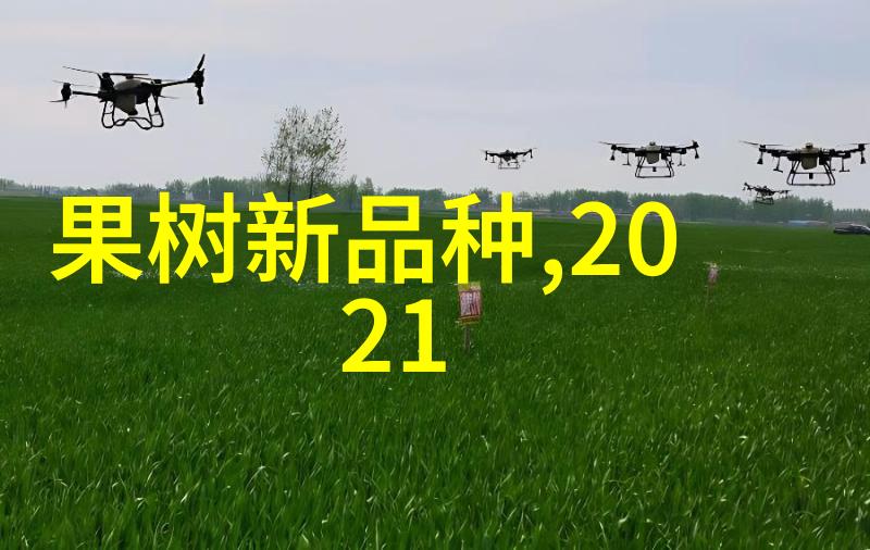 智能装备方案探索未来科技的革新与应用