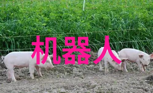颠覆行业认知RM-EGB紧凑型电动夹爪强势来袭完美替代气爪在社会的智能制造浪潮中引发热议