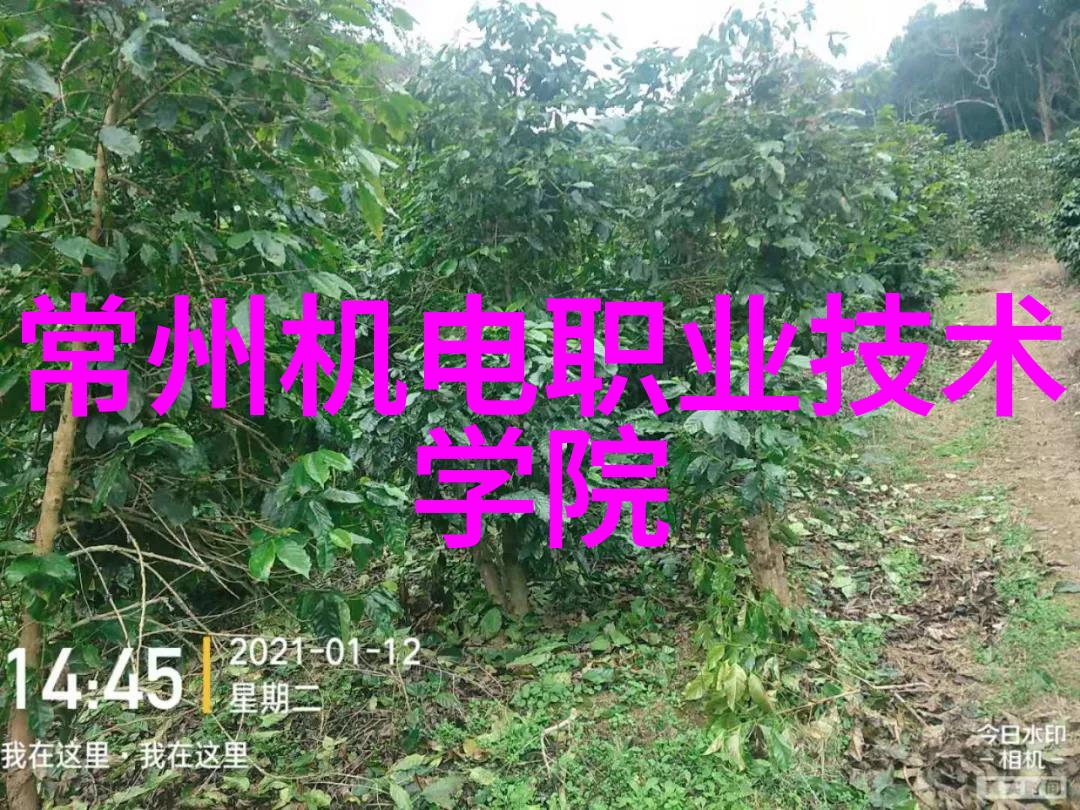 科学评价研究院-高效评估机制的构建与实践探究