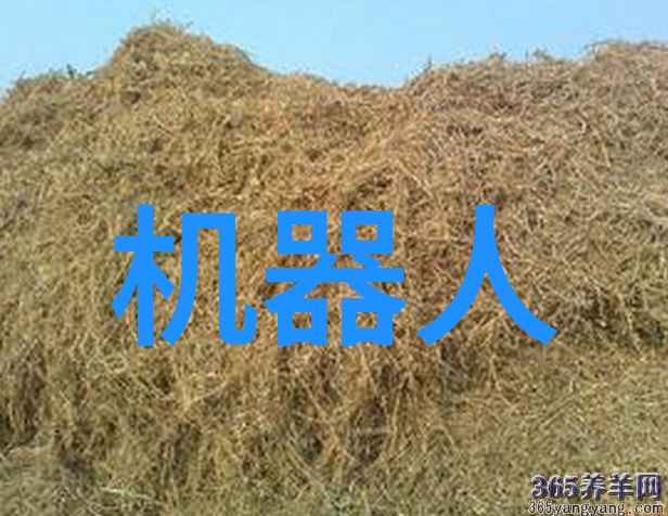 天津机电职业技术学院创造未来机电人才的摇篮