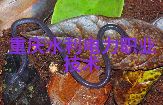 压在阳台玻璃上做给别人看0我是不是太过分了这次阳台表演真的让人脸红心跳