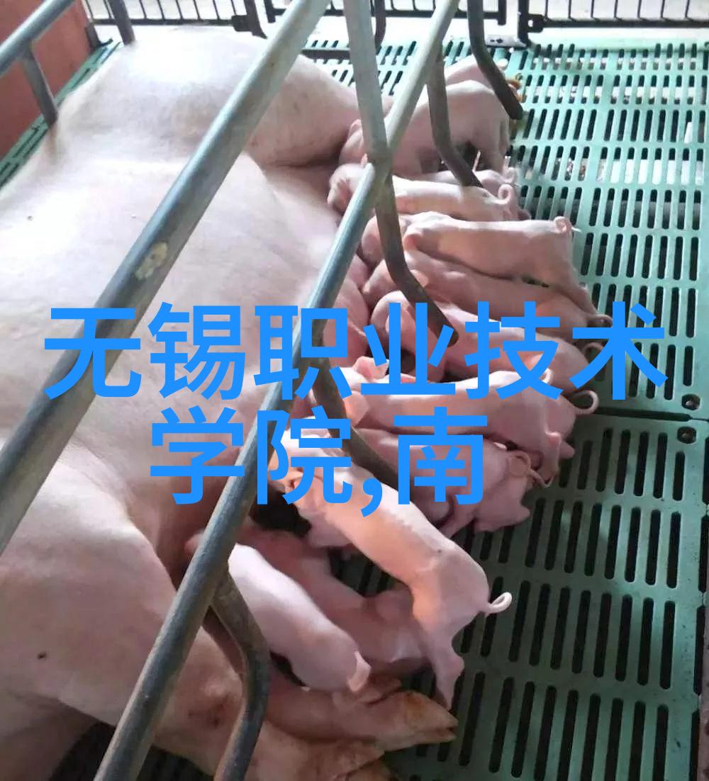 反应釜之谜揭开分为几种的神秘面纱