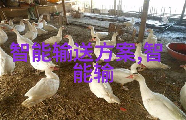 上海砍人2022刀剑与笑声的交响曲