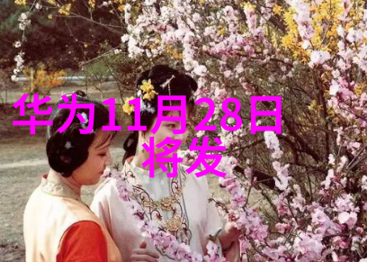 人格探索揭秘十六种不同之美
