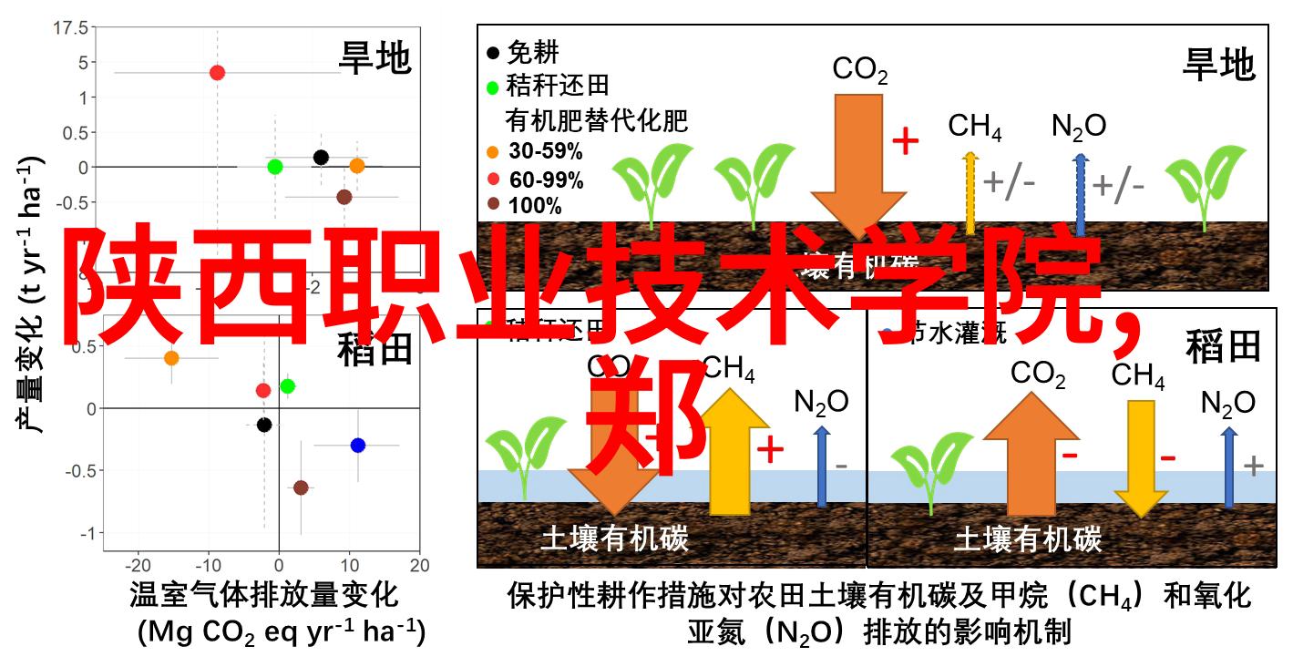 专业技术资格证书有哪些种类-职业技能大师揭秘各类专业技术资格证书的世界