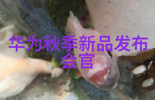 国产EDA觉醒时代天玑9200强劲驱动下的ICCAD竞赛冠军仿佛山脉涌动在自然的怀抱中