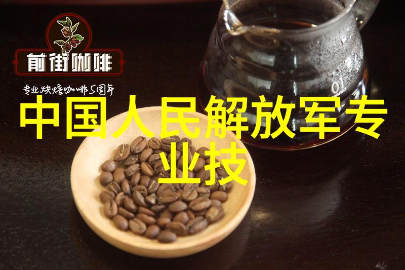 芯片的奥秘揭开微电子技术的面纱