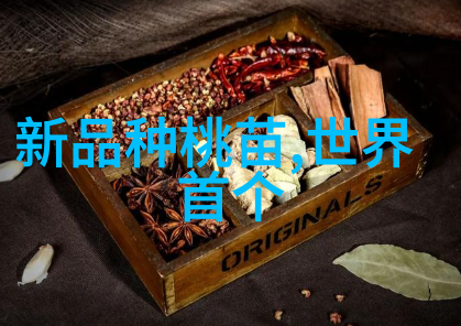 人与物的和谐共存Z0OZO0D0G背后的温暖故事
