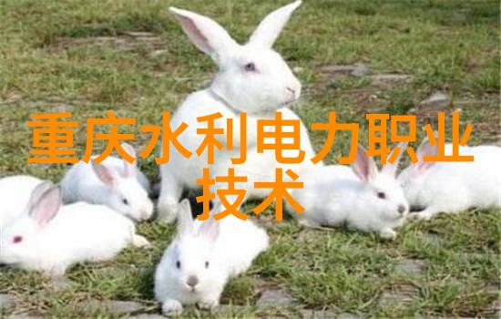 中国股市的晴雨表揭秘上证指数大盘走势