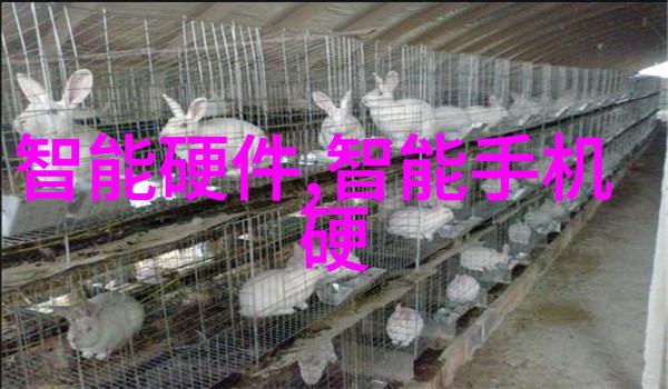 手机芯片决定了什么 - 硬件基石如何手机芯片塑造我们的移动世界