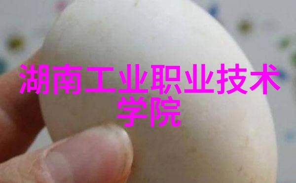 低碳生活方式中的必备工具智能节能型高壓滅潔鍋