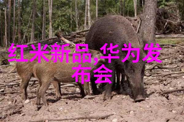 山东省北斗制冷设备有限公司我是如何在北斗制冷遇到最棒的工作伙伴们的