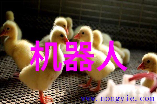 技术革新带来机遇对东微半导体估值的宏观视角