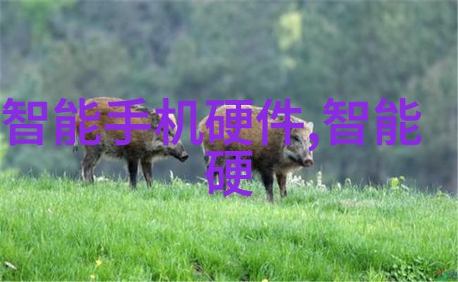 不锈钢的秘密生活附近那些无人知晓的铁匠故事