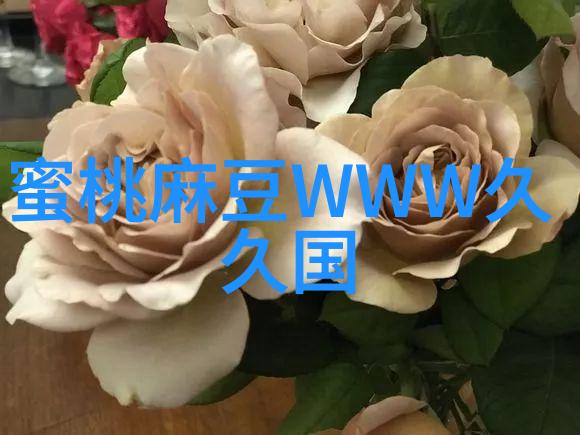 创新设计思路将传统机械零部件转变为高性能密封件设备