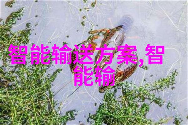 用户中心智能交通展览会如何提升乘客体验