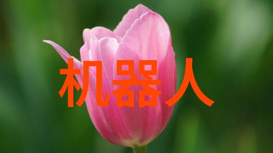 女性参与市场营销领域的学术探讨性别差异与职业发展