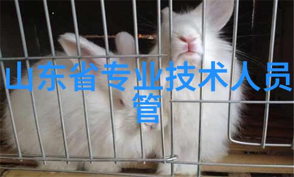 封口胶生产设备高效自动化封口系统
