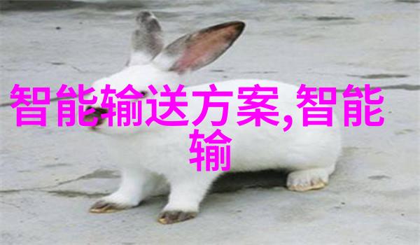 粉碎机设备它们的秘密是什么让它们能如此高效地将坚硬的物质粉碎成细微的尘埃