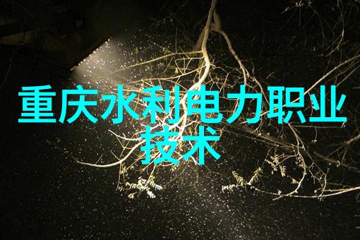 在光博会的盛世之中RayThink如何不以燧石技术高清热成像技术开创未来视界新纪元3c自动化设备龙头
