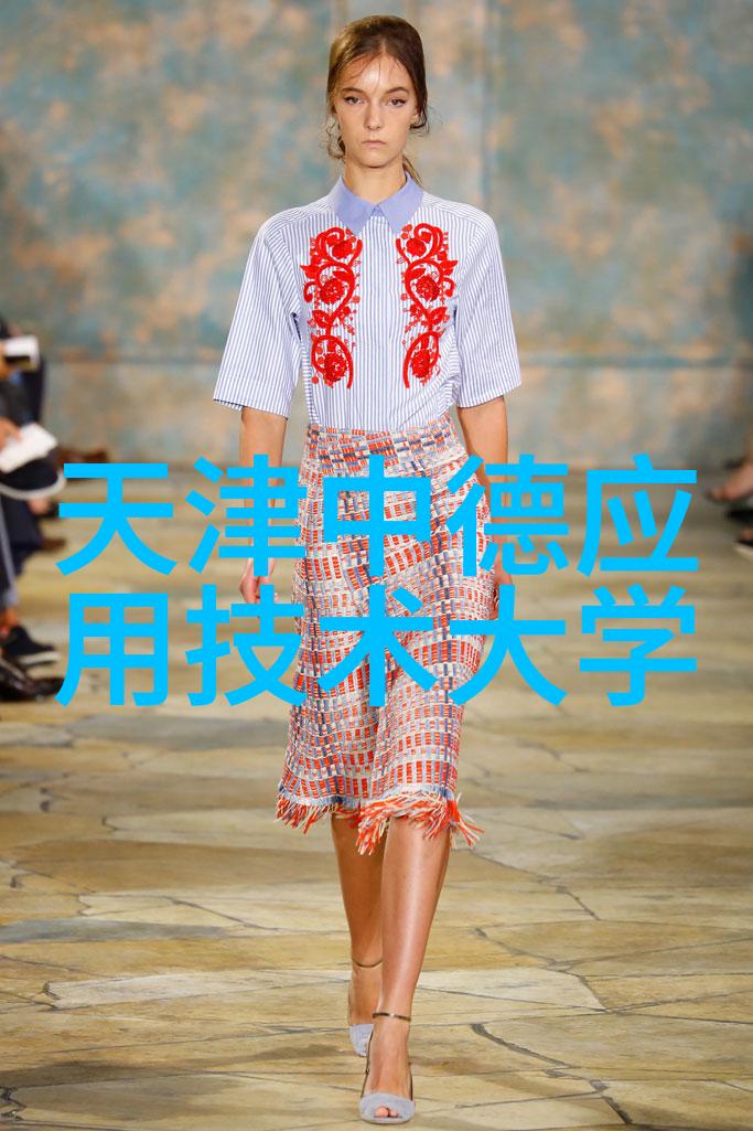 实践边界的探索可行性研究报告的织梦者