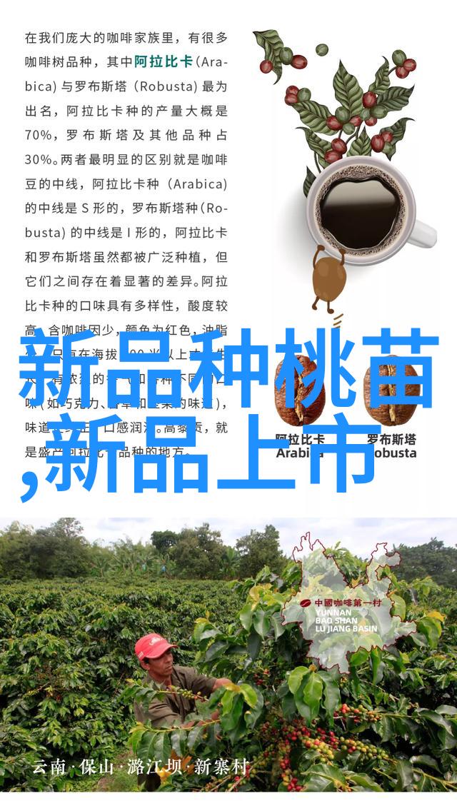 大型中药提取浓缩设备-高效绿色工艺的关键大规模生产中药材精华