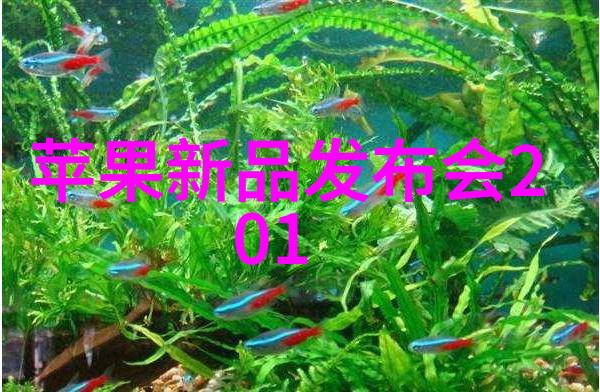 江西波纹填料价格全解析了解市场行情与选购指南