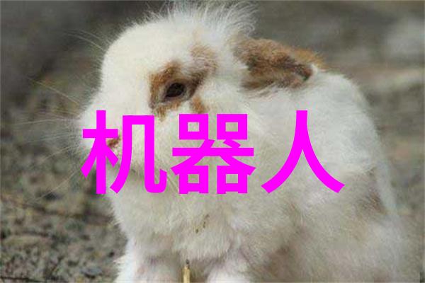 巡检记录表-设备运行监控与维护日志