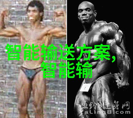 颗粒剂机械技术与应用概述