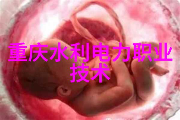 生产安全事故报告与调查处理条例中隐含的疑惑如何确保企业遵循法规不再成为事故常态