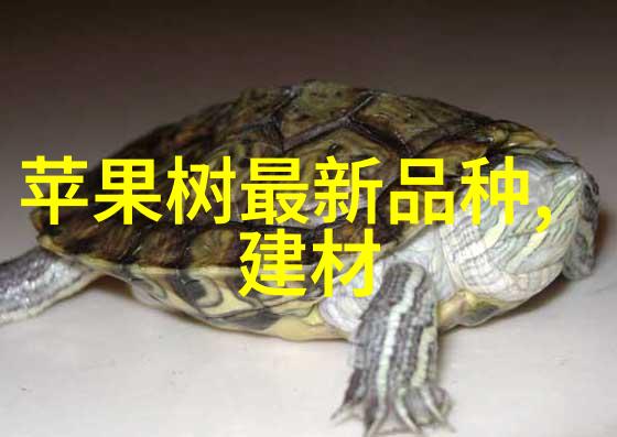 清流之谜背后的纯化水设备与生命的秘密